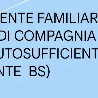 Badante signora autosufficiente (liv.bs)