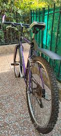 Bicicletta Mountain bike