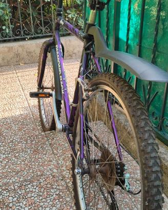 Bicicletta Mountain bike