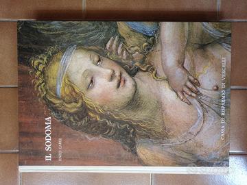 Il Sodoma libro arte