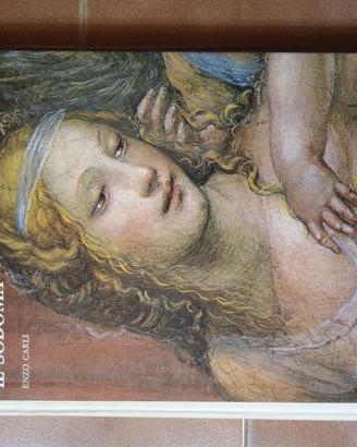 Il Sodoma libro arte