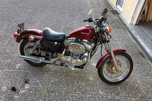 Harley 883