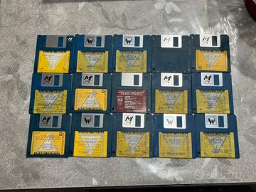 15 Floppy Disk 720kb testati funzionanti