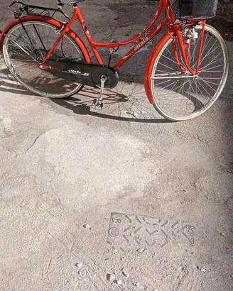 bicicletta donna 