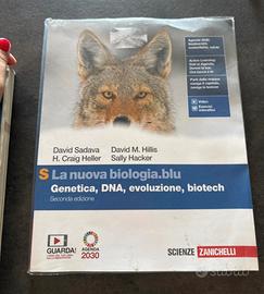 Libri scuole superiori