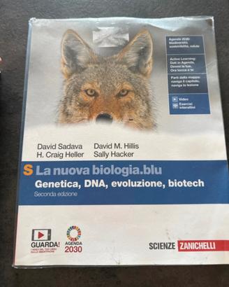 Libri scuole superiori