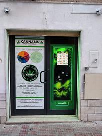 Attività commerciale Cannabis shop h24 Marsala