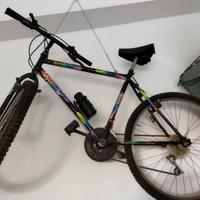 Bicicletta Mountain bike