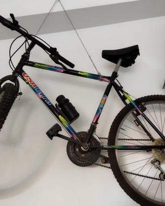 Bicicletta Mountain bike