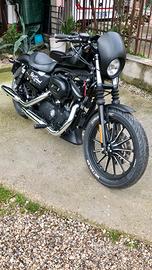 Harley Davidson 883