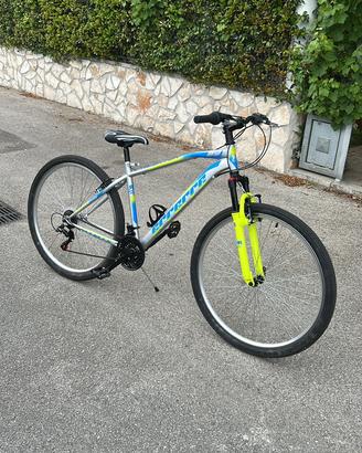 Bicicletta predator rr 29’