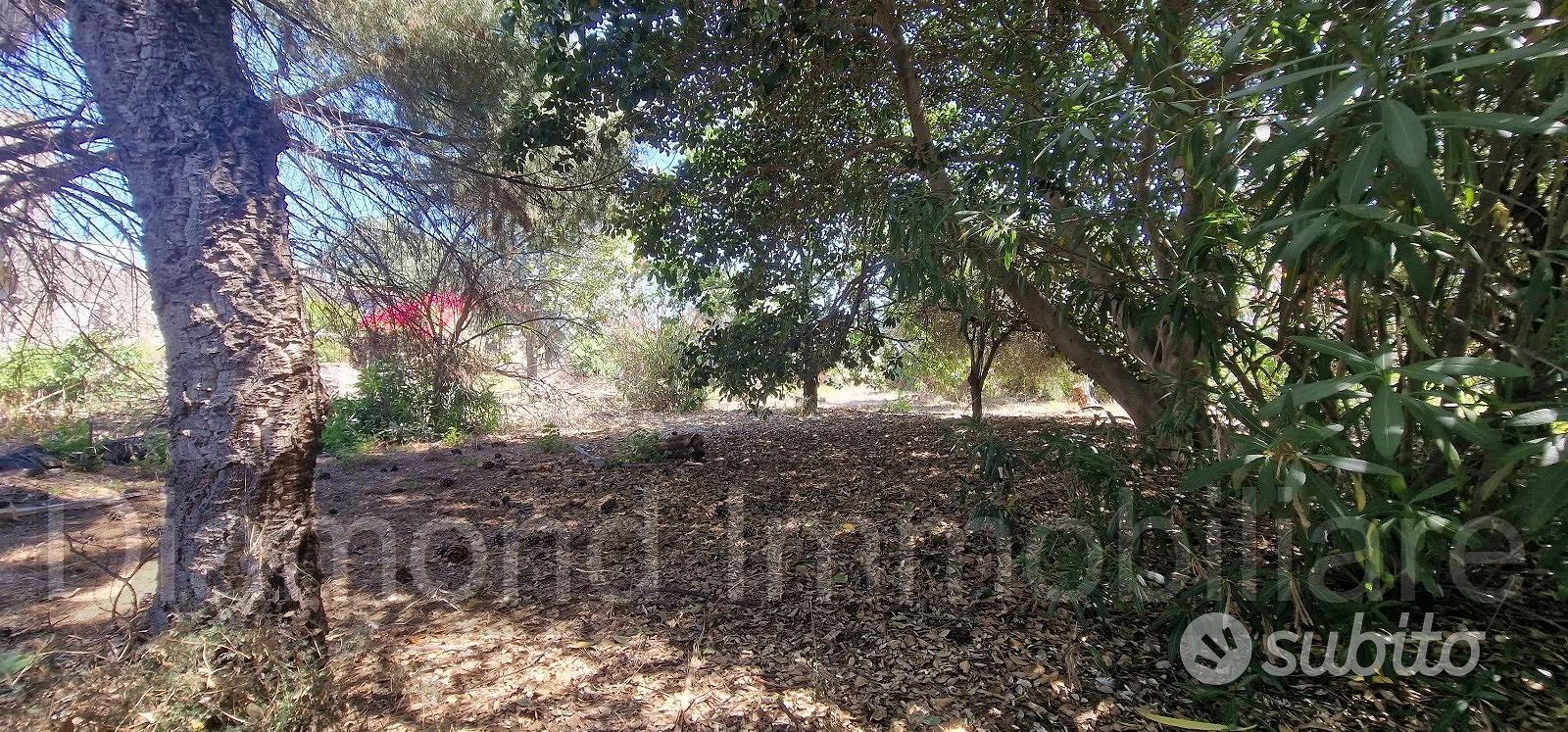 Antico casale con terreno a Carrubba di Giarre - Altro