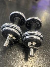 Coppia Manubri Vintage Barbell