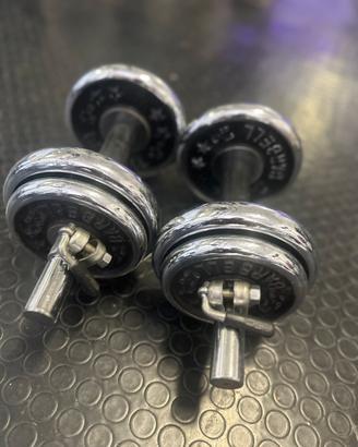 Coppia Manubri Vintage Barbell