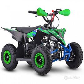 Quad Furious Big 50 R6