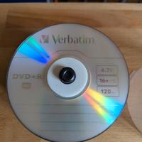 dvd vergini verbatin 48