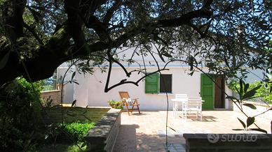 Casa Vacanza in campagna Parco San Bartolo, Pesaro