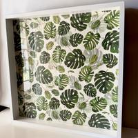 Quadro con piante 50x50 - cornice profonda