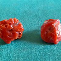 Orecchini di corallo