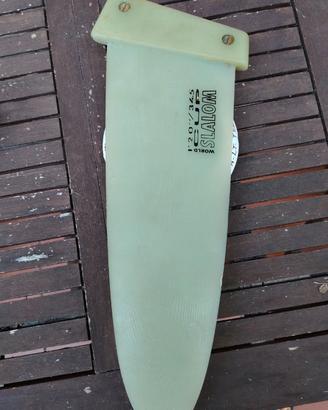Pinna windsurf slalom