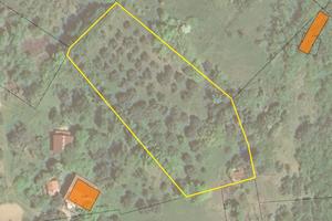 Terreno alla località Fievo con uliveto avviato