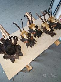 trofei di caccia per Andrea