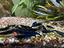 Immagine 5