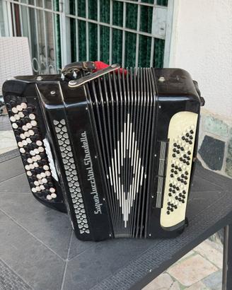 Fisarmonica