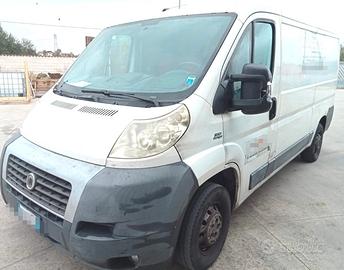 FIAT Ducato (4ª serie) - 2011