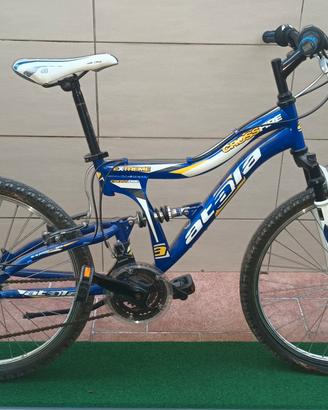 mountain bike