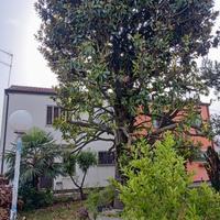 Bifamiliare a 3 km da Adria