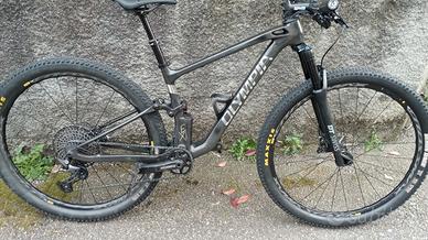 OLYMPIA F1X carbon tg S
Forcella DT SWISSE 232 esc