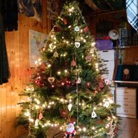 Albero di natale 2.2mt,decorazioni,proiettore,ecc