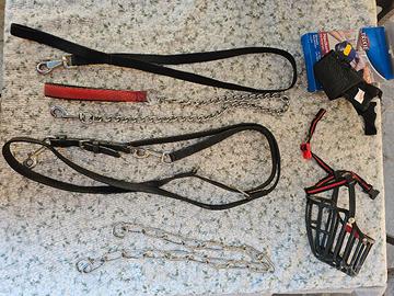 Accessori per cani di grossa taglia