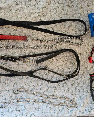 Accessori per cani di grossa taglia