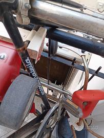 bici cannatella