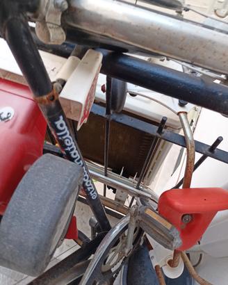 bici cannatella