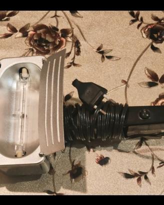 Lampada al quarzo-iodio con cavo e spina