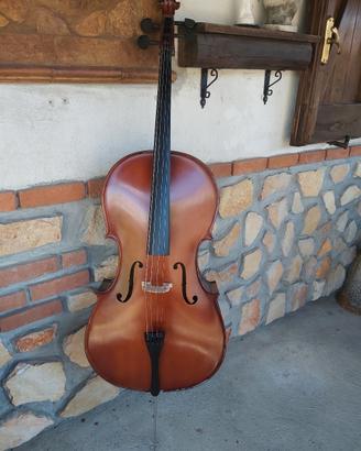 Violoncello 4/4 Mavis MC6012 con custodia