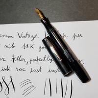 Waterman Ideal Vintage Stilografica Flex