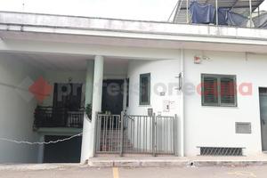 Casa Indipendente Oria [1186VRG]