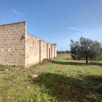 Terreno con progetto di villa con piscina