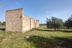 Terreno con progetto di villa con piscina