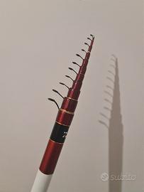 bolognese daiwa specialist