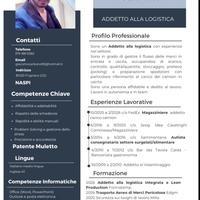 Magazziniere logistica