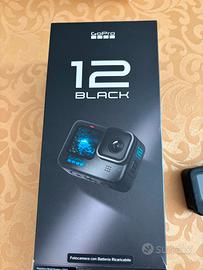 Go pro hero black 12