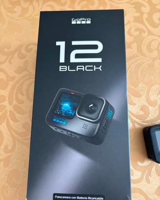 Go pro hero black 12