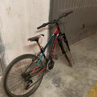 Bicicletta mtb 24