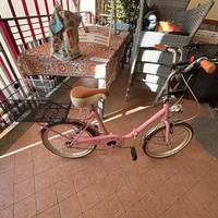 Bicicletta pieghevole con cestini