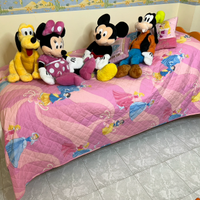 Letto singolo stile "Disney Principessa" con doghe